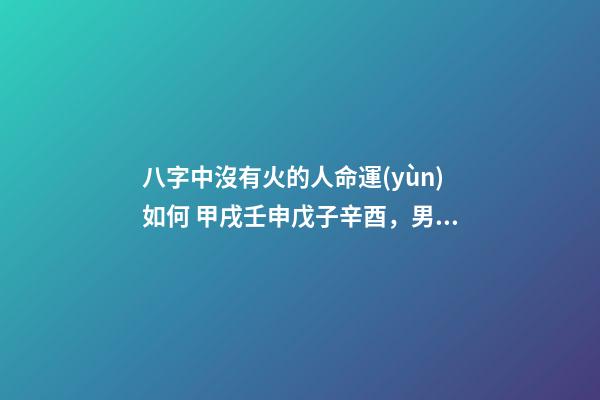 八字中沒有火的人命運(yùn)如何 甲戌壬申戊子辛酉，男，這個(gè)命怎么樣，幫忙分析一下，謝謝、-第1張-觀點(diǎn)-玄機(jī)派